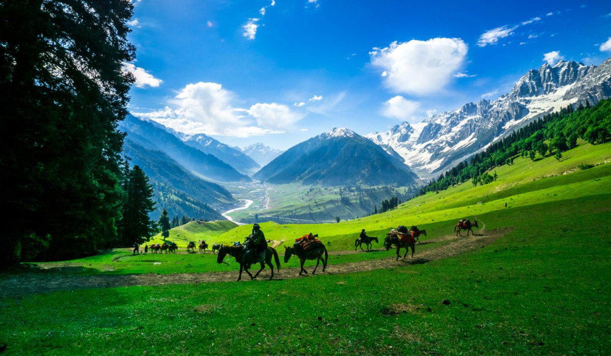 Uncover Kashmir | Journey to Nature Paradise